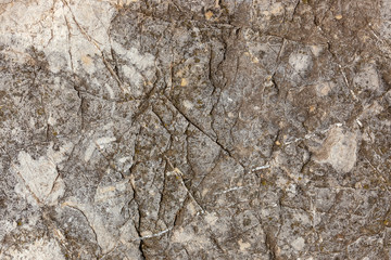 Ground, Wall surface texture for decoration background