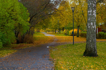 park in autumn colors