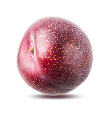 Fototapeta premium Plum isolated on white background with clipping path