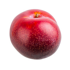 Plum isolated on white background with clipping path