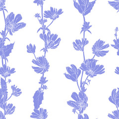 Floral seamless pattern with blue monochrome flowers Chicory, branches, leaves on white background. Hand drawn.For your design, textile, wallpapers, print, greeting. Vintage style. Stock illustration.