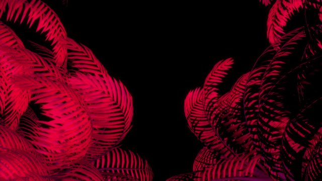 Neon Palm Trees Sides Rotating VJ Loop