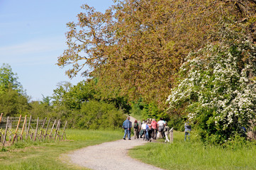 wandergruppe unterwegs im regionalpark rhein-main