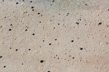 Ground, Wall surface texture for decoration background