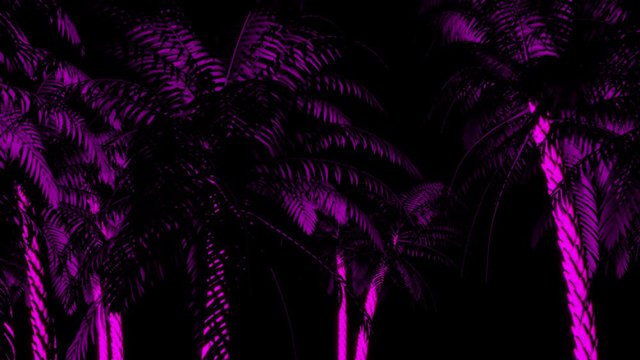 Neon Palm Trees Disco Looping Club Visual
