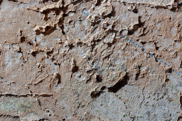 Ground, Wall surface texture for decoration background