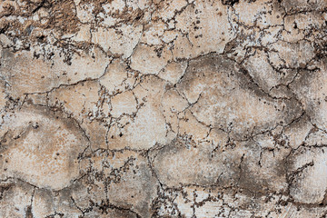 Ground, Wall surface texture for decoration background