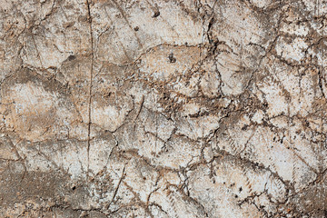 Ground, Wall surface texture for decoration background