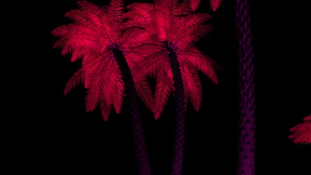 Purple Neon Palm Trees Bottom Up Rotating Video Loop