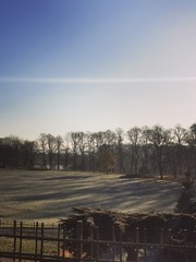 Winter's morning in the park