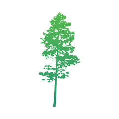  isolated of trees on the white background. Vector EPS 10.