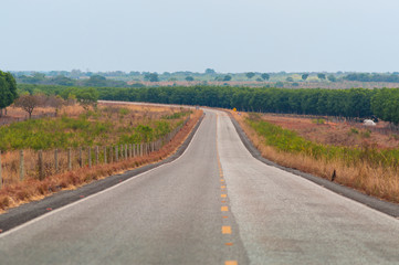 2019_october_brazil_trip