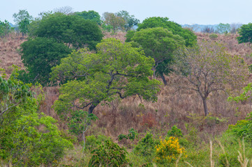 2019_october_brazil_trip