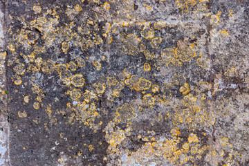 Ground, Wall surface texture for decoration background