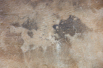 Ground, Wall surface texture for decoration background