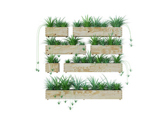 Green plants on a white background. 3D Rendering