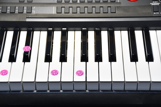 ピアノコード　Gm7