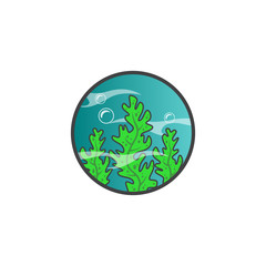 illustration of seaweed in underwater