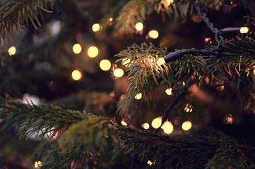 Christmas tree decorated with electric garland