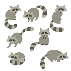 Obraz premium Set of cute gray flat raccoons in various poses. Flat vector illustration, animals, isolated on white.