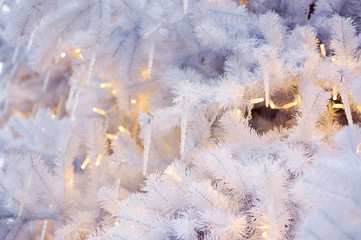  Beautiful white background for new year card. White artificial christmas tree. Burning electric garland. Hanging icicles.