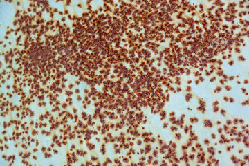 Metal, Ground, Wall surface texture for decoration background