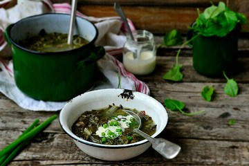 .russian traditional  soup with eggs and sour cream