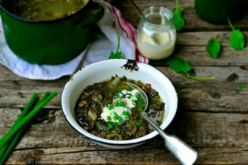.russian traditional  soup with eggs and sour cream
