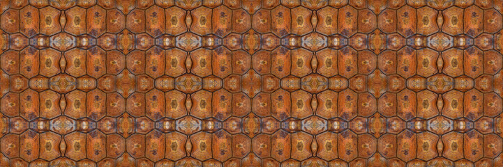 Turtle carapace, Close up texture and pattern of turtle shell in panoramic view use for web design and abstract background	