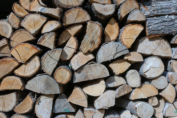 Fototapeta premium Wood, Ground, Wall surface texture for decoration background