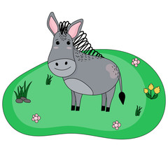 Obraz na płótnie Canvas Farm cute animal. Donkey in cartoon style. Vector illustration in flat