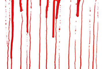 Dripping blood isolated on white background. Flowing red blood splashes, drops and trail