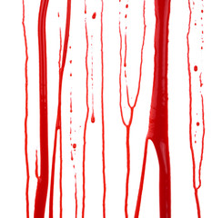 Dripping blood isolated on white background. Flowing red blood splashes, drops and trail