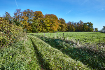 moorweg