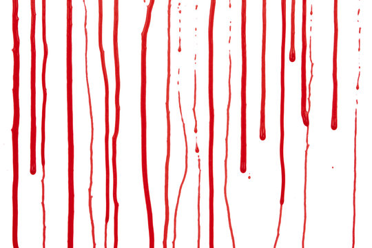 Dripping blood isolated on white background. Flowing red blood splashes, drops and trail
