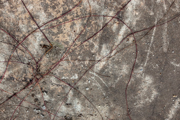 Ground, Wall surface texture for decoration background