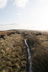 A path across the Yorkshire Moors between Halifax and Bradford.