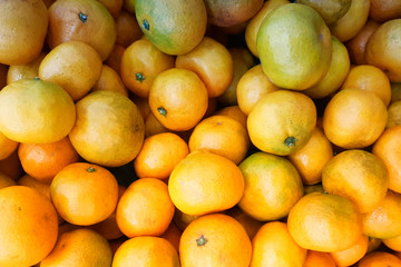 orange in white background