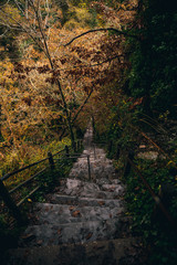 Fototapeta na wymiar Steep steps in a forest over a river. Near Devil's Bridge in Ceredigion. 