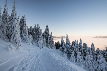 snow covered hiking trail with frozen trees around and hills on the background