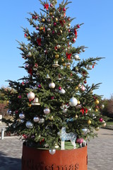 馬見丘陵公園のクリスマスツリー