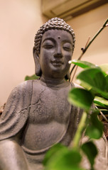 Figure and statue of Buddha in interior of apartment with green plants and indoors tree in room. Yoga meditation studio zen sculpture decoration detail for home. Asian religion of Tibet and India.