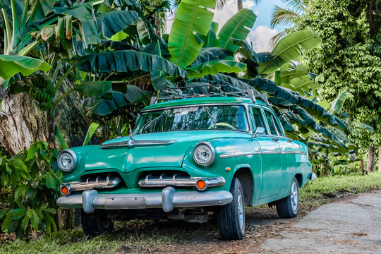 Cuba Baracoa oldtimer jungle