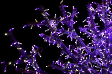 Part of holiday Christmas tree decorating with violet and white flashing lights at night. Detail of New Year decorations, string rice lights bulbs. Ornaments to christmas celebration, holiday scene.