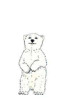 Polar bear. Black outline on white background. Hand drawing watercolor sketch. Picture can be used in greeting cards, posters, flyers, banners, logo, further design etc. Colorful illustration.