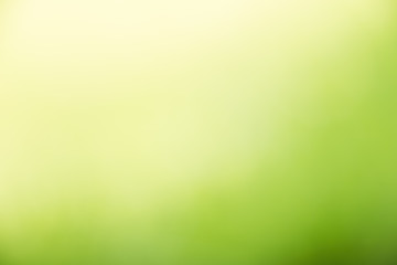 Green Abstract bokeh from nature background