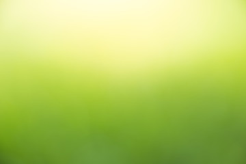 Green Abstract bokeh from nature background