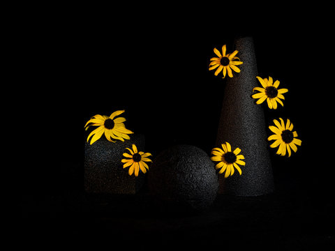 Yellow black eye suzy flowers