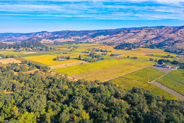 Fototapeta na wymiar Aerial view of the verdant hills with trees in Napa Valley 