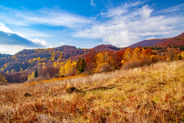 Landscape of autumnal peaks of the Carpathians. © Arkadiusz Fajer
